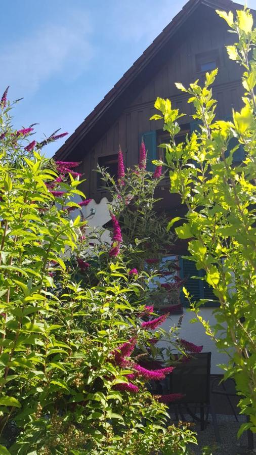 Chill&Sleep Bad Ischl Exterior foto