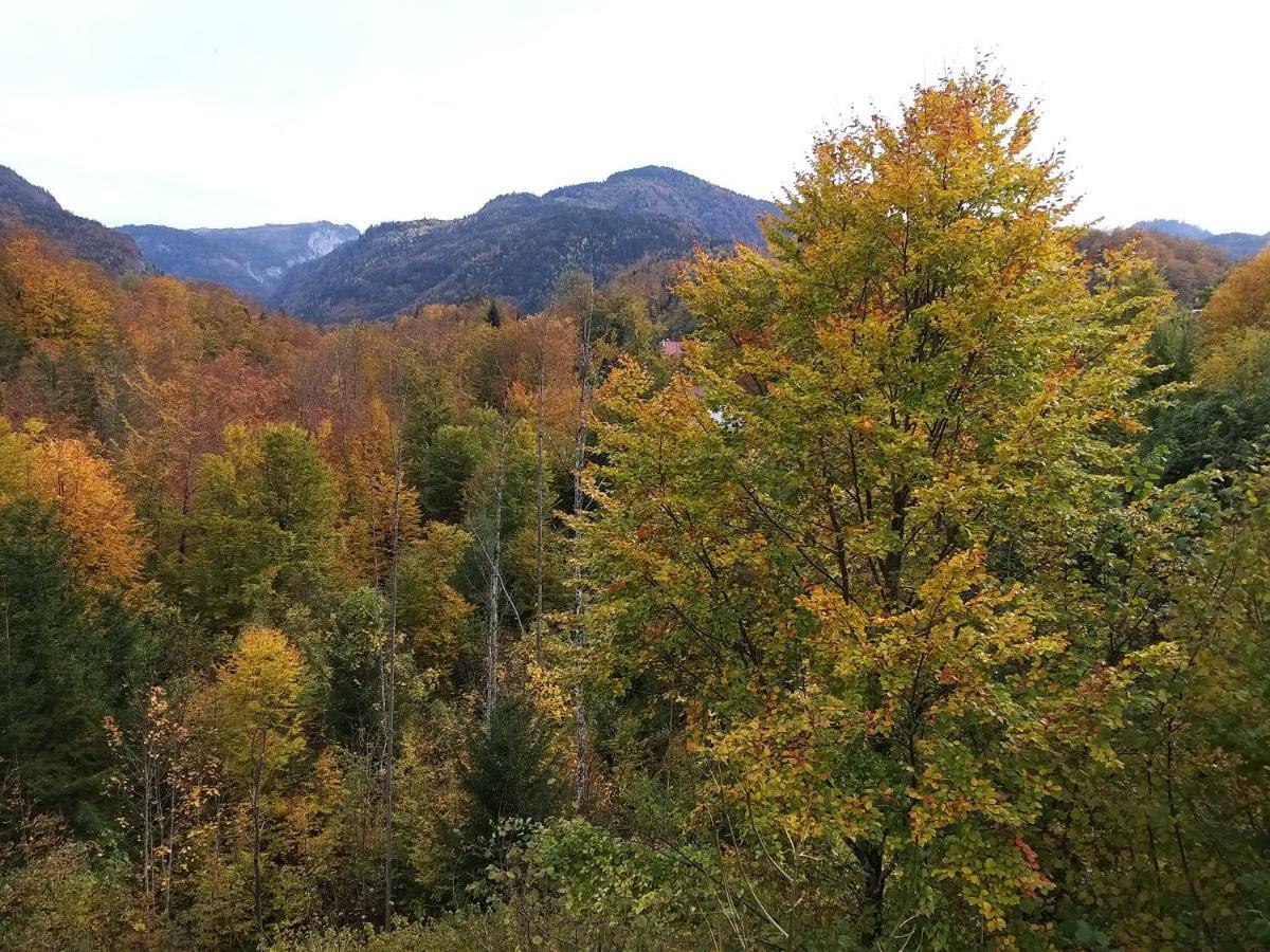 Chill&Sleep Bad Ischl Exterior foto