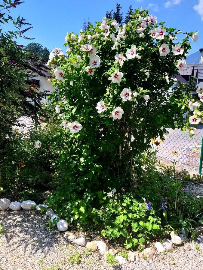 Chill&Sleep Bad Ischl Exterior foto