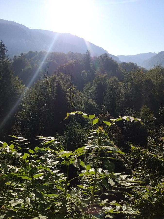Chill&Sleep Bad Ischl Exterior foto