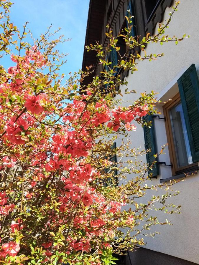 Chill&Sleep Bad Ischl Exterior foto